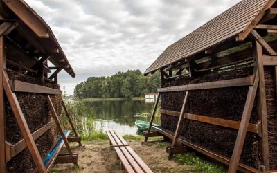 SĘPOLEŃSKIE TĘŻNIE GOTOWE